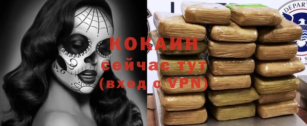 ПСИЛОЦИБИНОВЫЕ ГРИБЫ Богданович