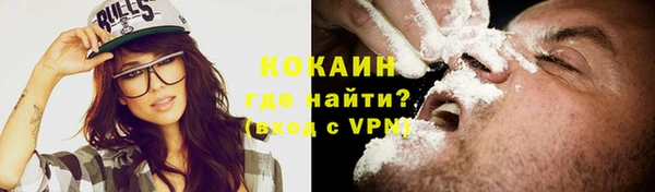 ПСИЛОЦИБИНОВЫЕ ГРИБЫ Богданович