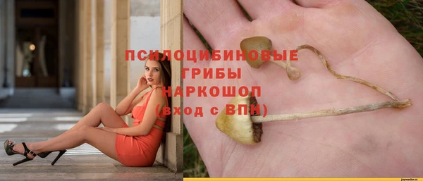 ПСИЛОЦИБИНОВЫЕ ГРИБЫ Богданович