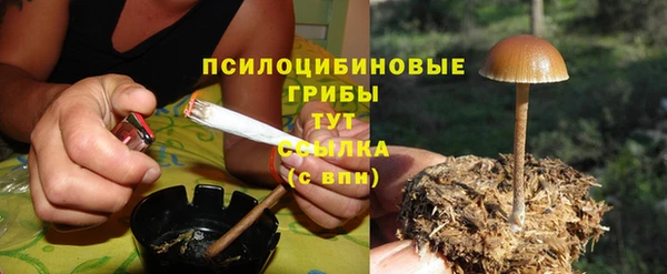 ПСИЛОЦИБИНОВЫЕ ГРИБЫ Богданович