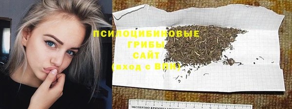 амф Белокуриха