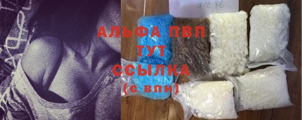 ПСИЛОЦИБИНОВЫЕ ГРИБЫ Богданович