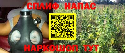 тгк Тула