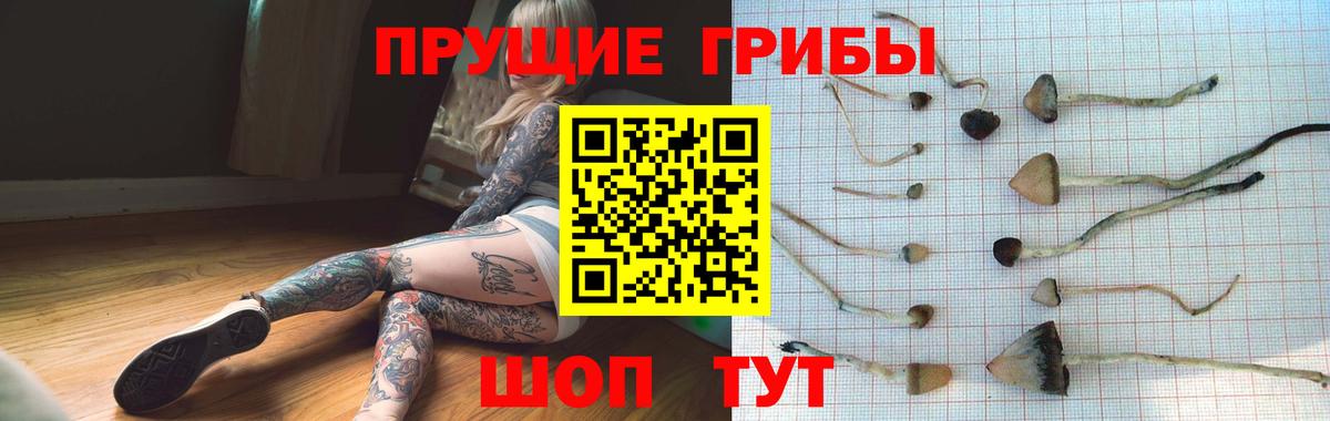 Галлюциногенные грибы Psilocybine cubensis  Псилоцибиновые грибы MAGIC MUSHROOMS  Вход с VPN  Реж 